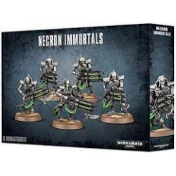 Warhammer 40k - Necrons: Immortals/Deathmarks