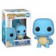 POKÉMON - SQUIRTLE (504)