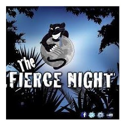 The Fierce Night